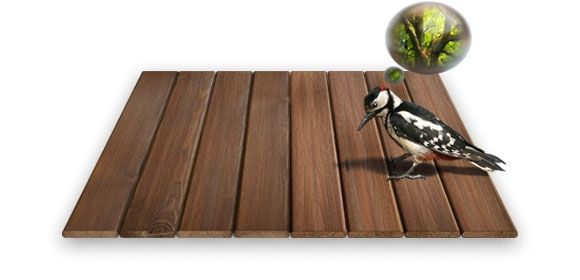 Priority Exterior Solutions Images