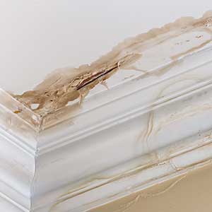 corner of a roof with water damage
